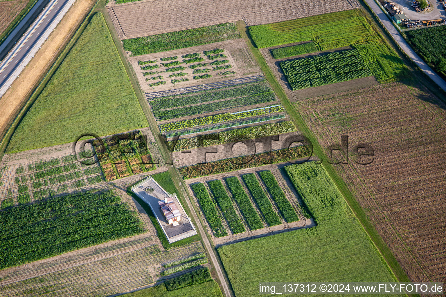 Vegetable fields in Ptuj in the state Slovenia, Slovenia