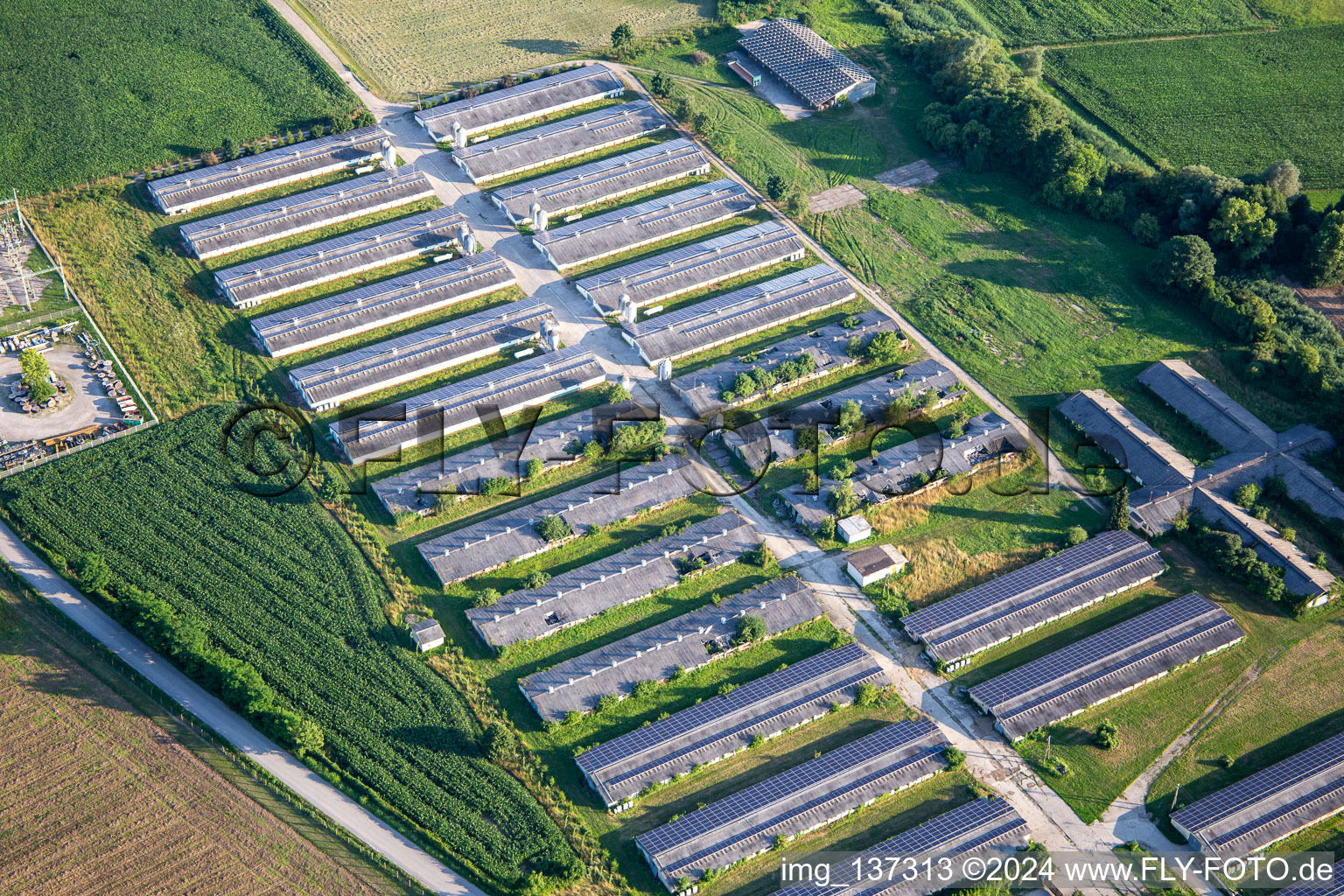 Former greenhouses with PV system and cycling club Kolesarski klub perutnina Ptuj in Ptuj in the state Slovenia, Slovenia