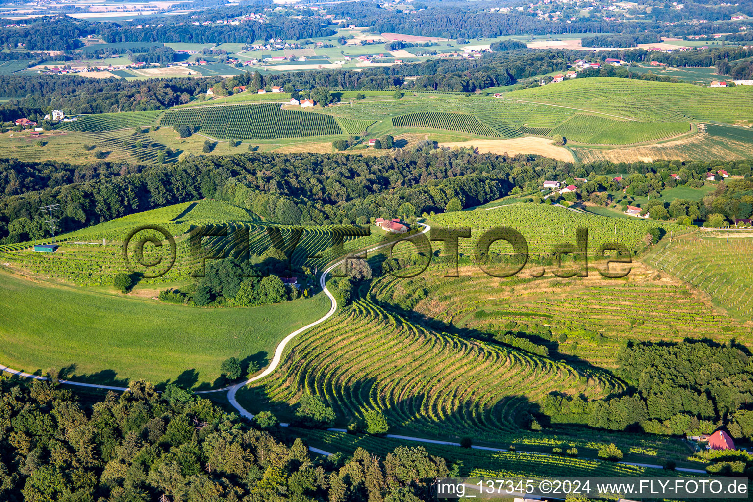 Aerial view of Vineyards at Klopca ljubezni Mestni vrh nad Ptujem in Ptuj in the state Slovenia, Slovenia