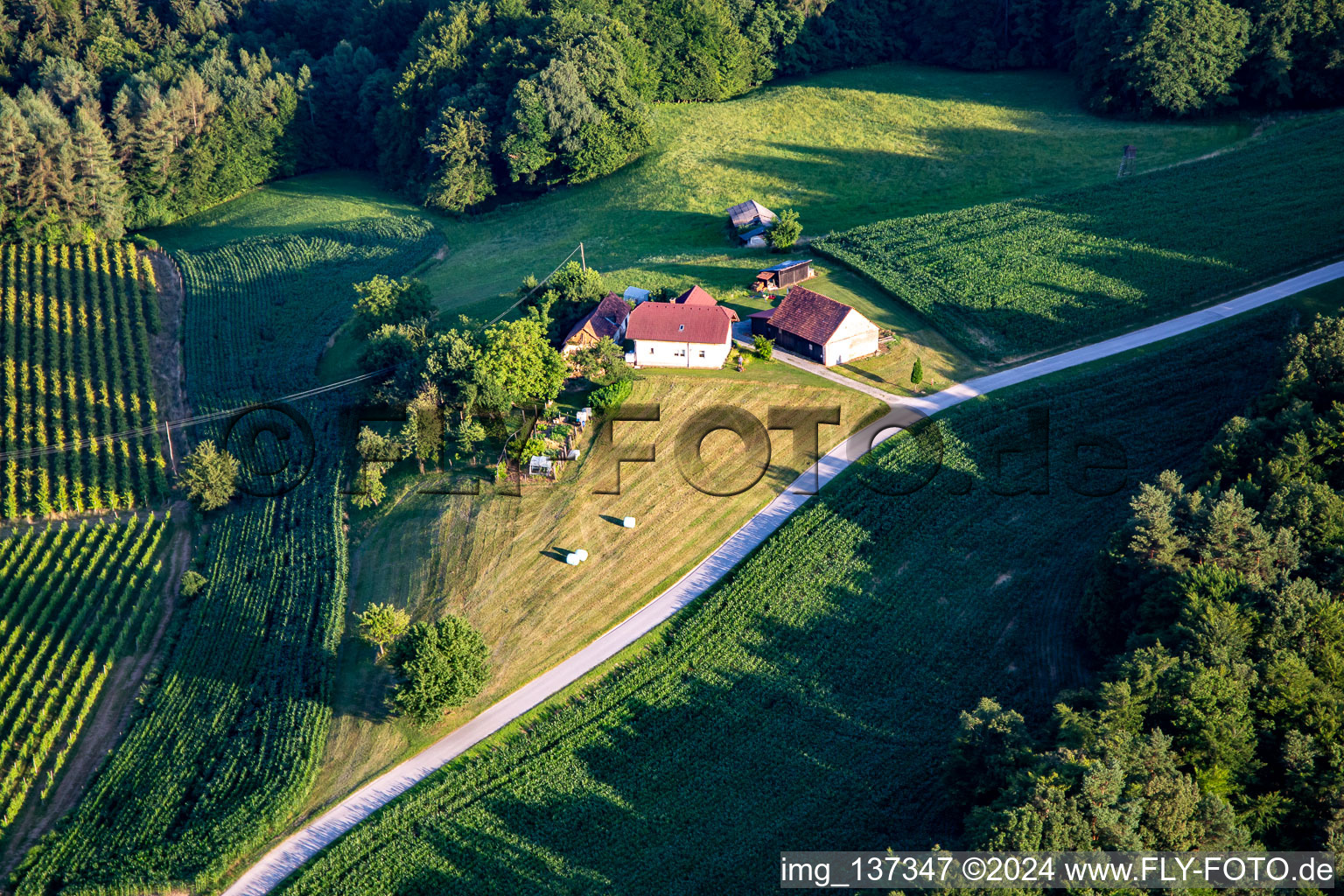 Small farmstead in Destrnik in the state Slovenia, Slovenia