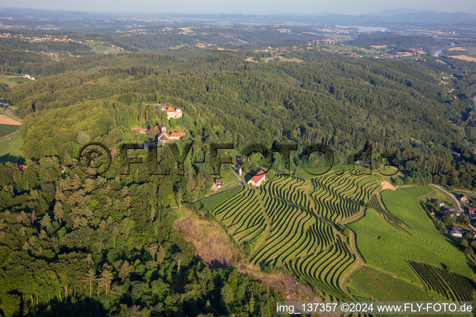 Church of Župnijska cerkev sv. Marije Vnebovzete and Café Huda Liza above the Vurberg vineyards in Duplek in the state Slovenia, Slovenia