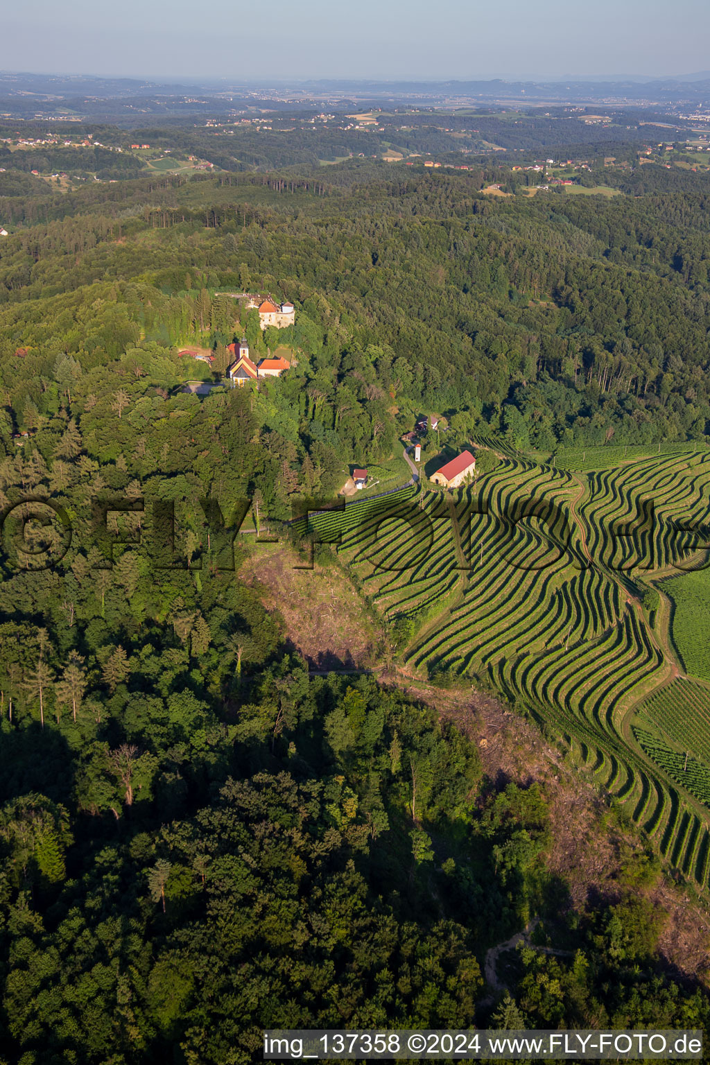 Aerial view of Church of Župnijska cerkev sv. Marije Vnebovzete and Café Huda Liza above the Vurberg vineyards in Duplek in the state Slovenia, Slovenia