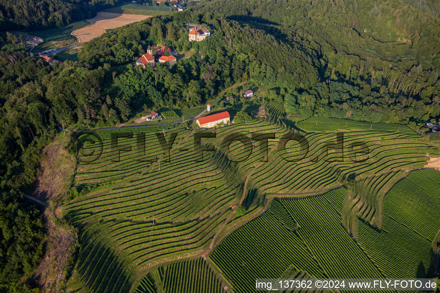 Church of Župnijska cerkev sv. Marije Vnebovzete and Café Huda Liza above the Vurberg vineyards in Duplek in the state Slovenia, Slovenia from above