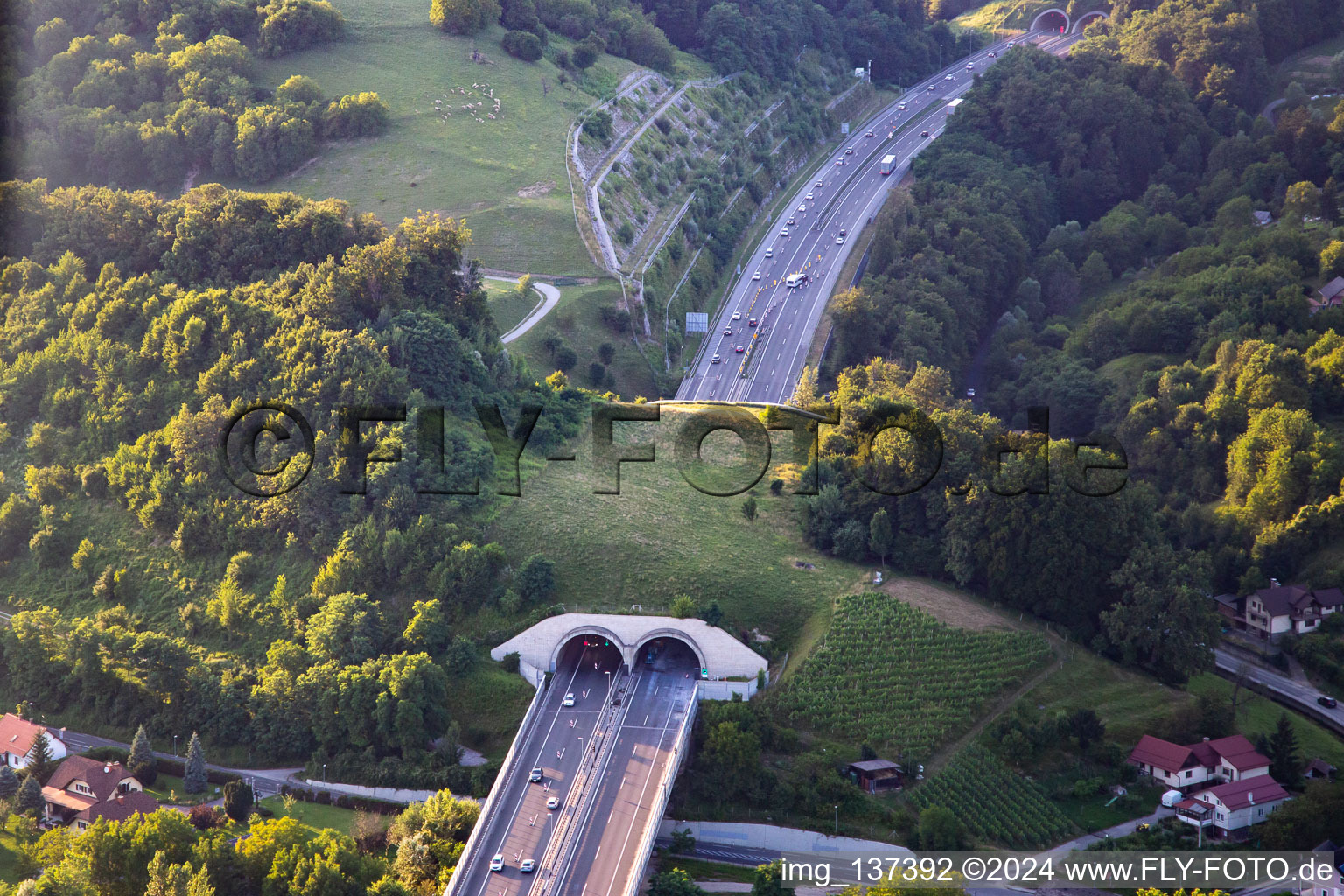 Green bridge over the E59 in Maribor in the state Slovenia, Slovenia