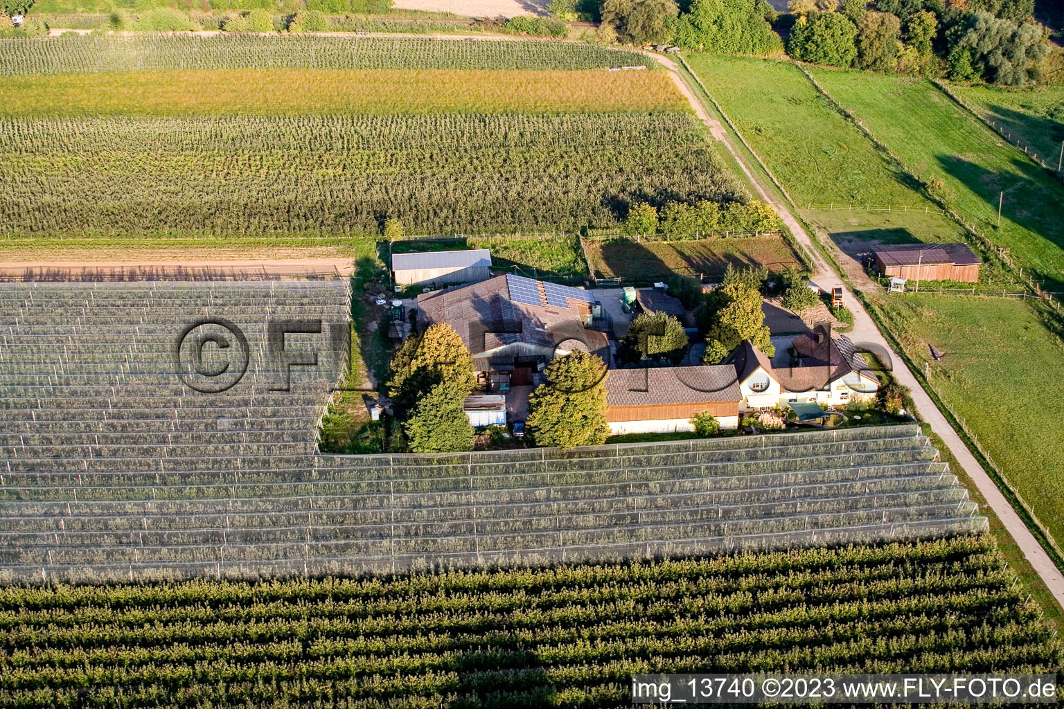 Lindenhof: Gensheimer fruit and asparagus farm in Steinweiler in the state Rhineland-Palatinate, Germany