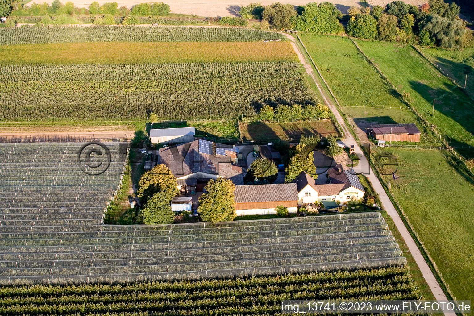Aerial view of Lindenhof: Gensheimer fruit and asparagus farm in Steinweiler in the state Rhineland-Palatinate, Germany