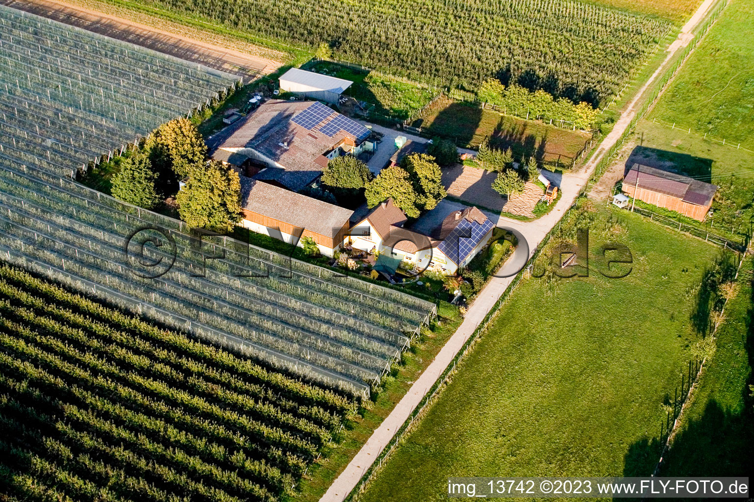 Aerial photograpy of Lindenhof: Gensheimer fruit and asparagus farm in Steinweiler in the state Rhineland-Palatinate, Germany