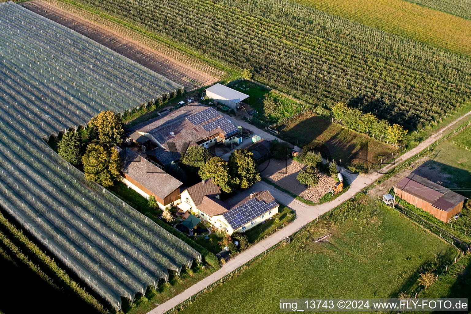 Oblique view of Lindenhof: Gensheimer fruit and asparagus farm in Steinweiler in the state Rhineland-Palatinate, Germany