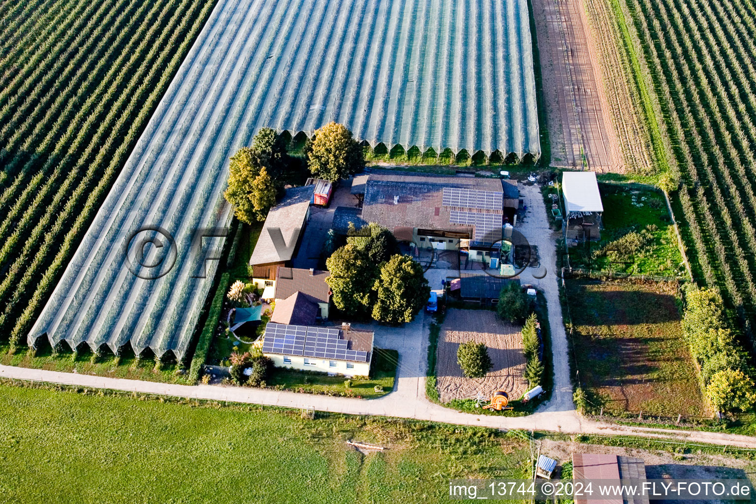 Lindenhof: Gensheimer fruit and asparagus farm in Steinweiler in the state Rhineland-Palatinate, Germany from above