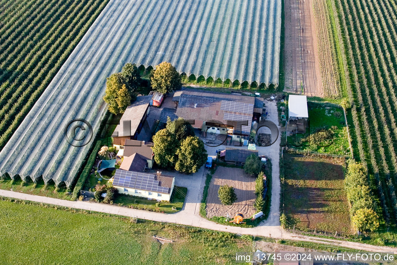 Lindenhof: Gensheimer fruit and asparagus farm in Steinweiler in the state Rhineland-Palatinate, Germany out of the air