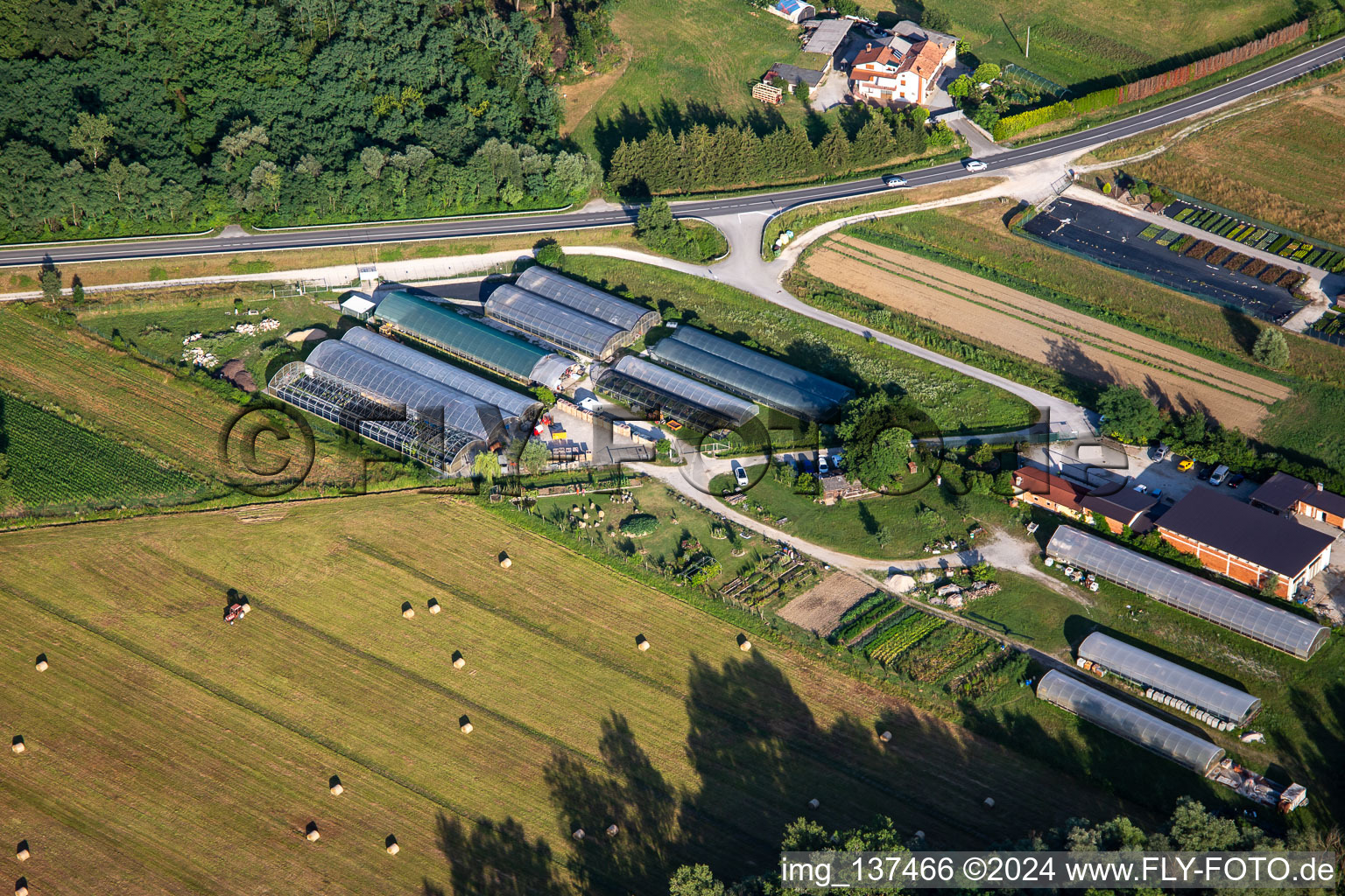 Garden center Vrtnarija Majdin Gaj and Horti doo in Renče-Vogrsko in the state Slovenia, Slovenia