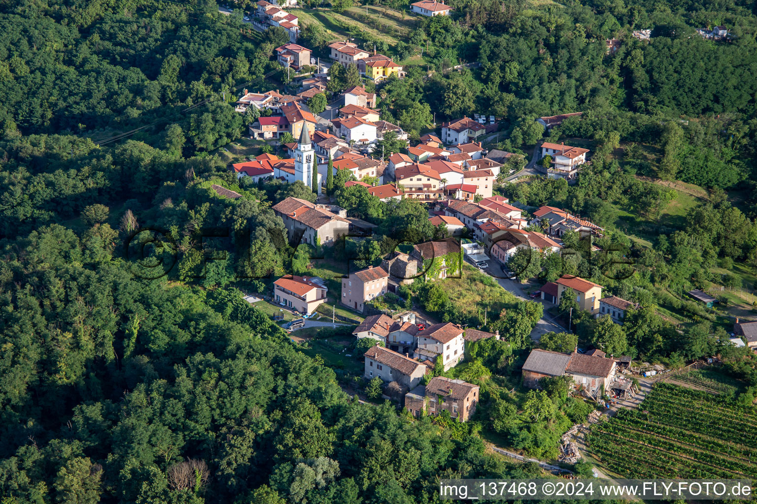 Aerial view of Hilltop village between vines and forest in the district Gradišče nad Prvačino in Nova Gorica in the state Slovenia, Slovenia