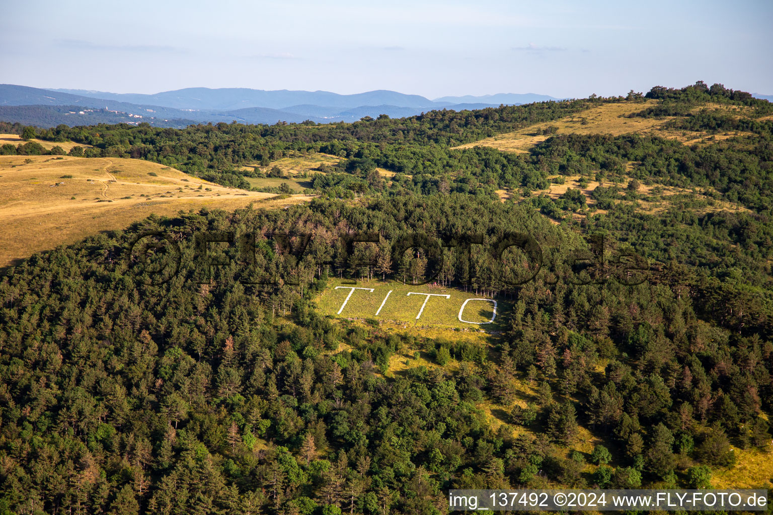 TITO marking in the forest in the district Branik in Nova Gorica in the state Slovenia, Slovenia