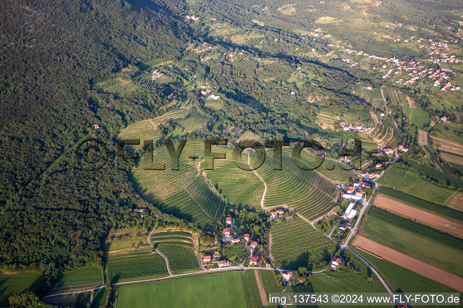 Aerial view of Vineyards in the district Kromberk in Nova Gorica in the state Slovenia, Slovenia