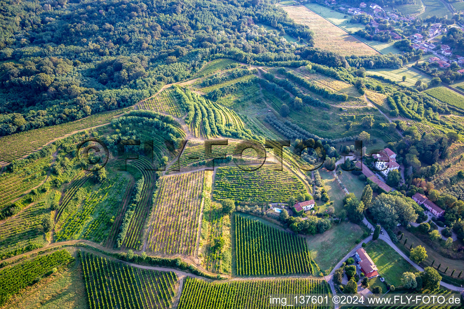 Aerial photograpy of Vineyards in Mossa in the state Gorizia, Italy