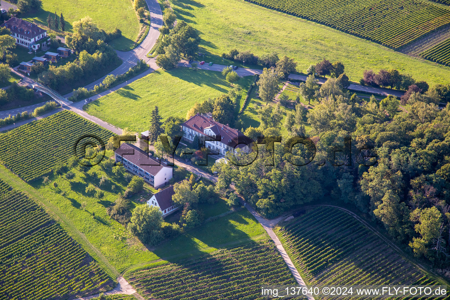 Keschde Buckel in Klingenmünster in the state Rhineland-Palatinate, Germany