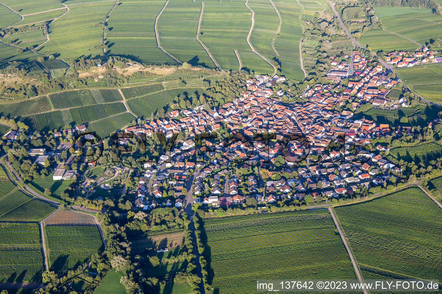 Under the small Kalmit in the district Ilbesheim in Ilbesheim bei Landau in der Pfalz in the state Rhineland-Palatinate, Germany