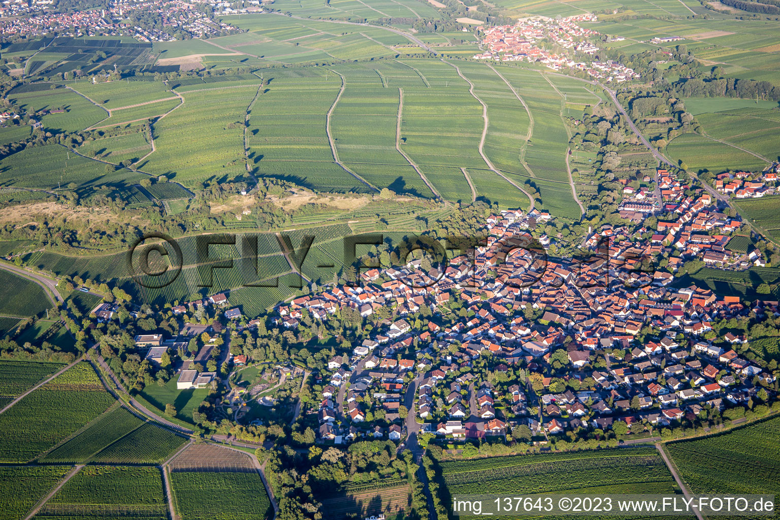 Aerial view of Under the small Kalmit in Ilbesheim bei Landau in der Pfalz in the state Rhineland-Palatinate, Germany