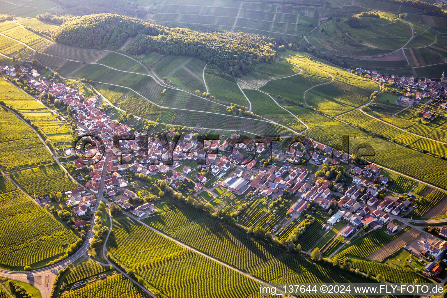 At Keschdebusch in Ranschbach in the state Rhineland-Palatinate, Germany