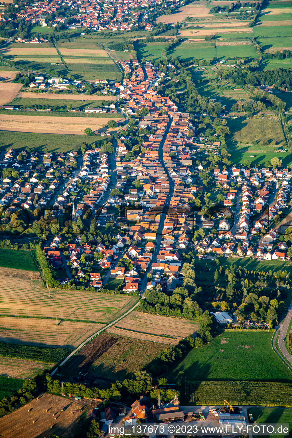 From the west in Freckenfeld in the state Rhineland-Palatinate, Germany