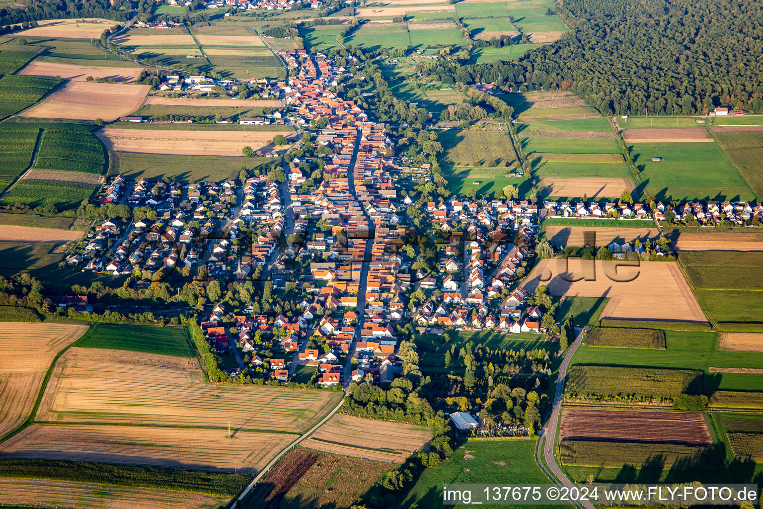 From the west in the district Schaidt in Wörth am Rhein in the state Rhineland-Palatinate, Germany