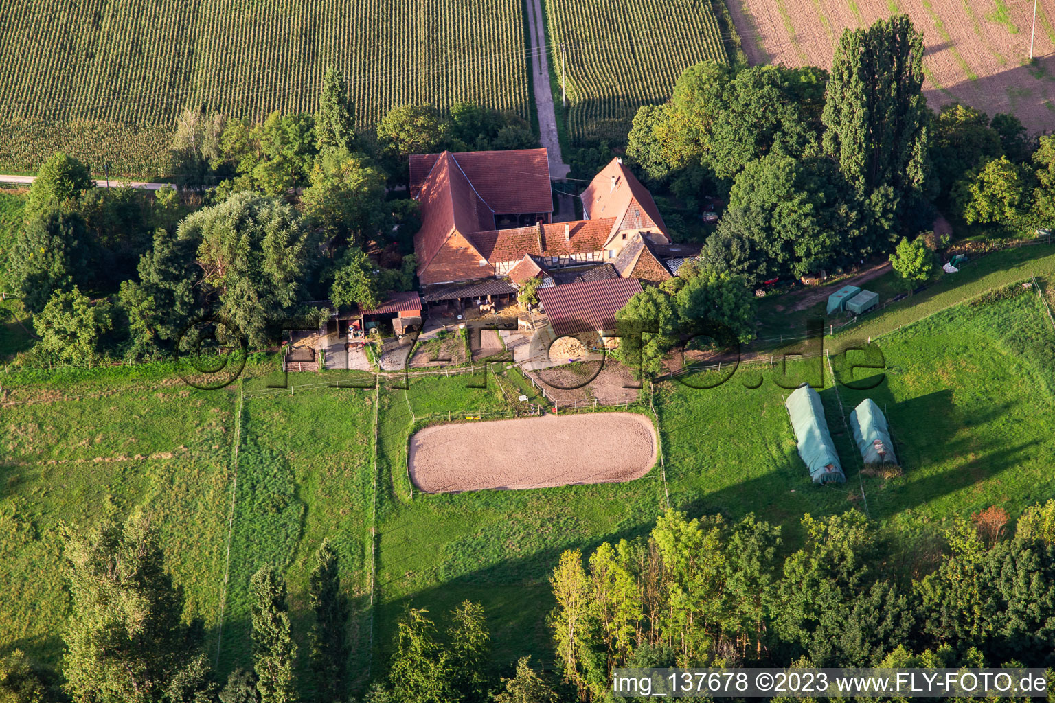 Aerial view of Farm with horses on Erlenbach in Oberhausen in the state Rhineland-Palatinate, Germany