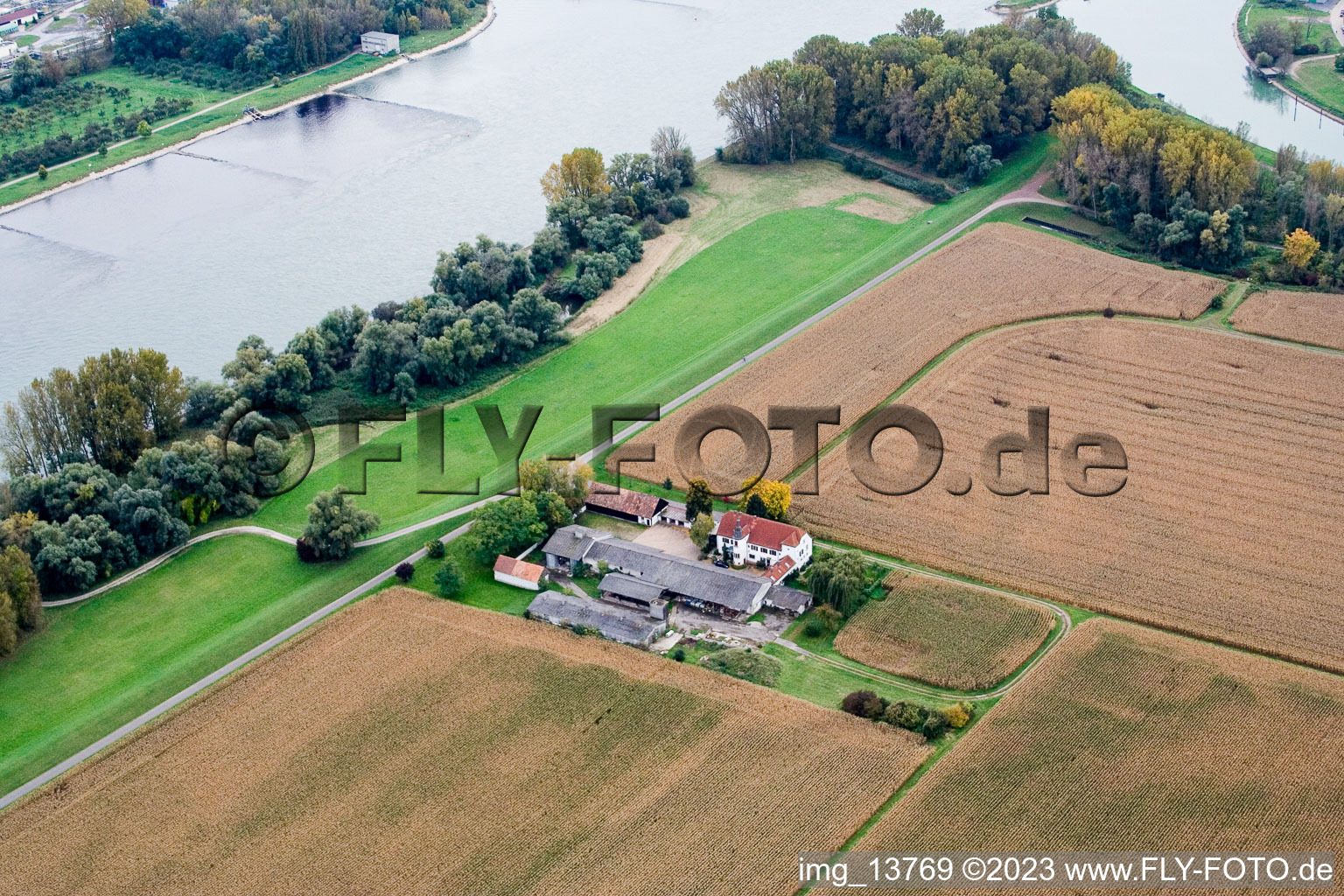 Drone recording of District Maximiliansau in Wörth am Rhein in the state Rhineland-Palatinate, Germany