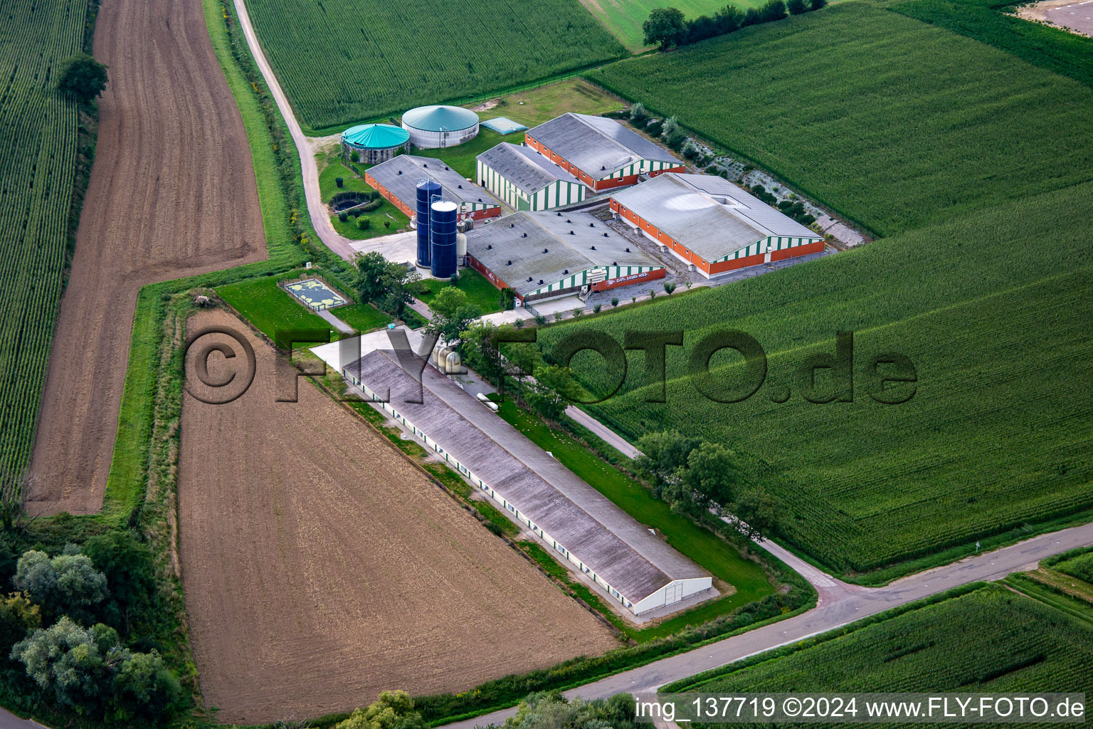 Livestock farming with biogas plant in Trimbach in the state Bas-Rhin, France