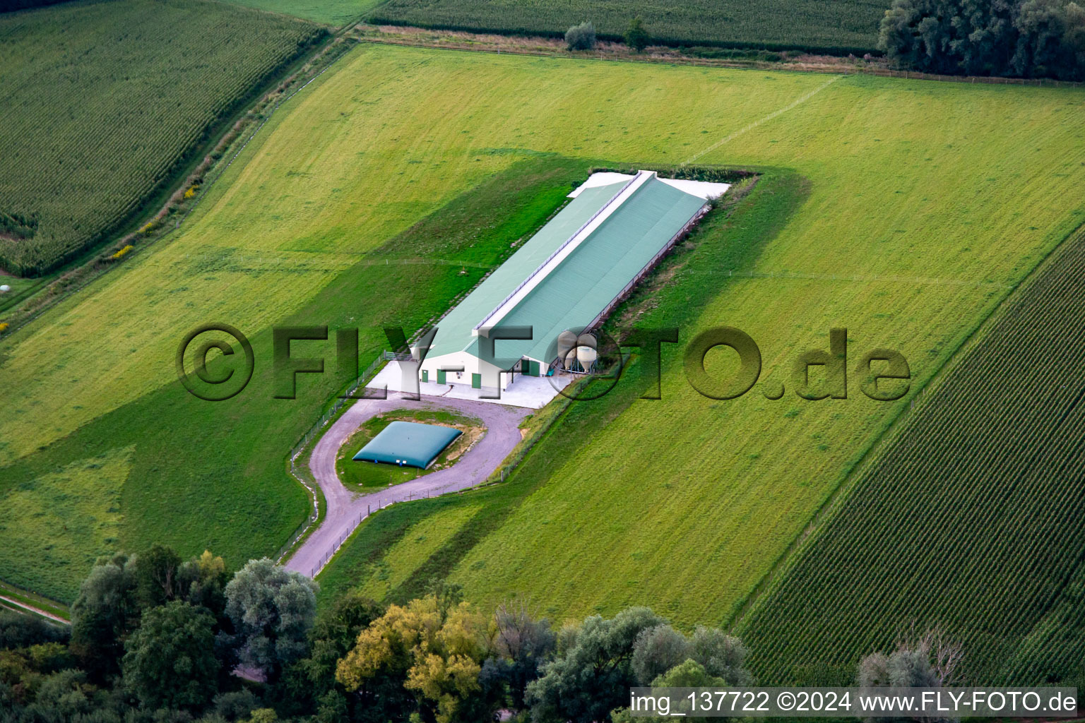 New poultry farming in Trimbach in the state Bas-Rhin, France