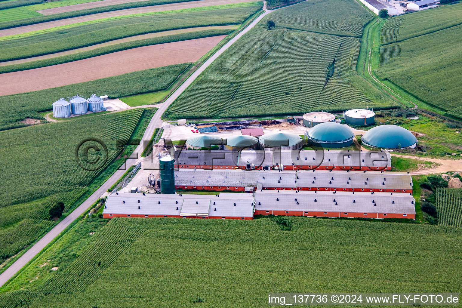 Livestock farming with biogas in Wintzenbach in the state Bas-Rhin, France