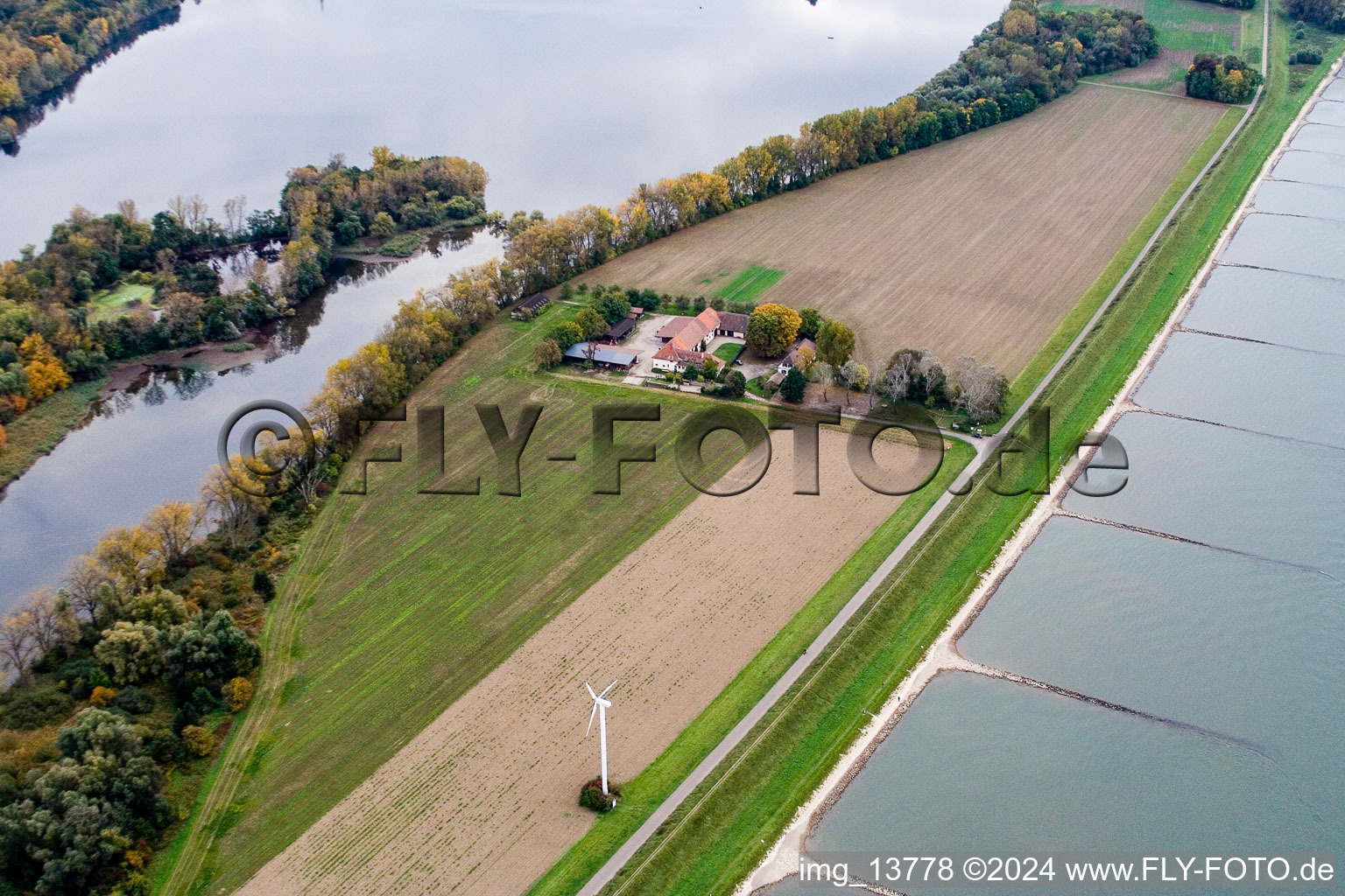 District Maximiliansau in Wörth am Rhein in the state Rhineland-Palatinate, Germany from a drone