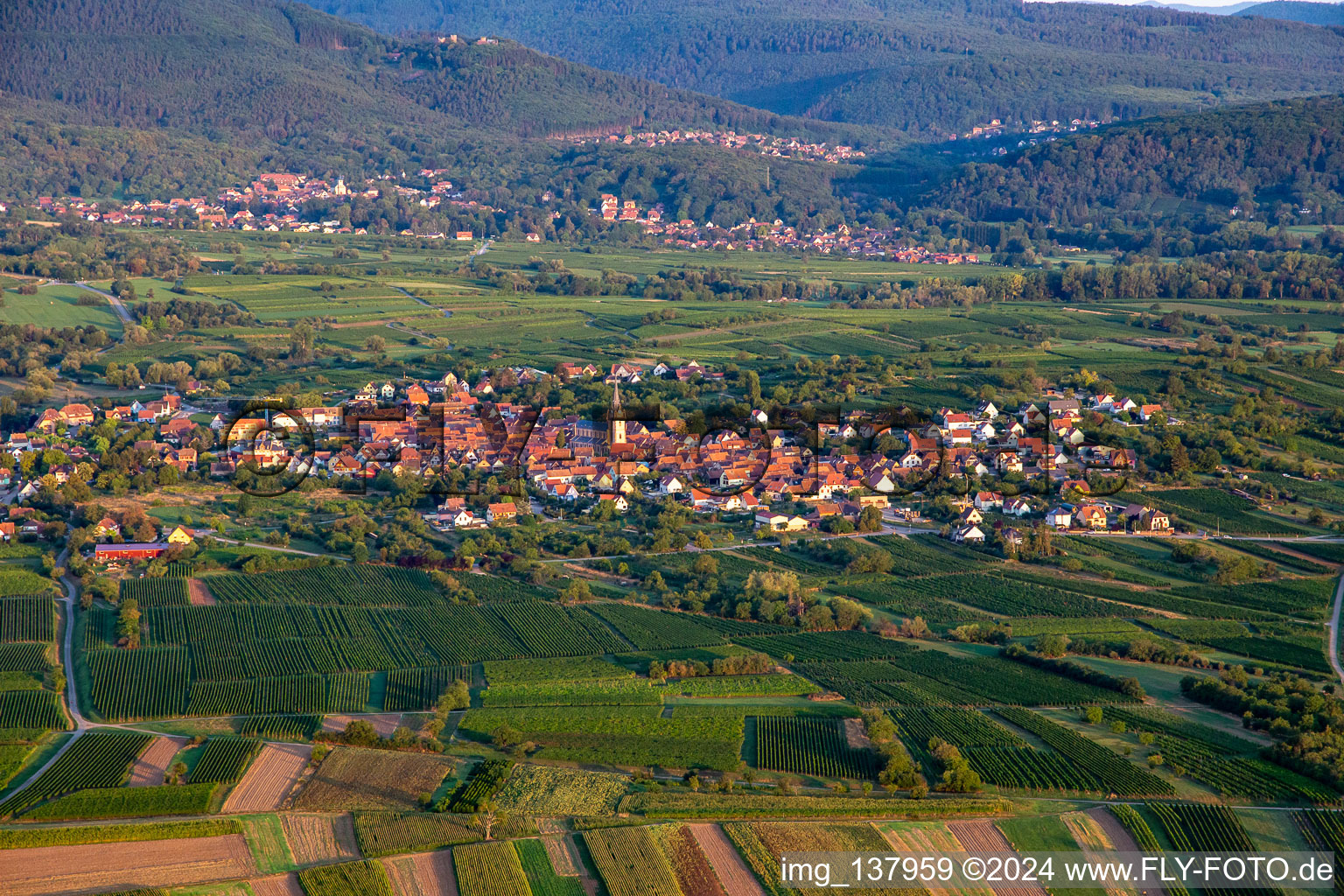 From the east in Bernardswiller in the state Bas-Rhin, France