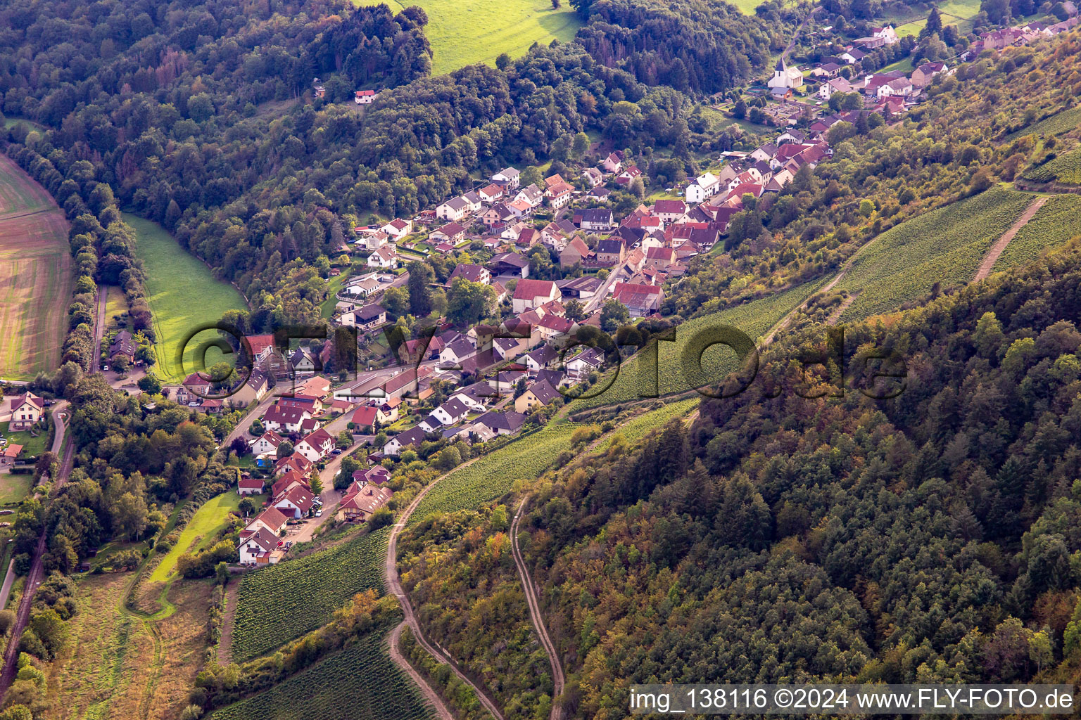 Oblique view of Raumbach in the state Rhineland-Palatinate, Germany