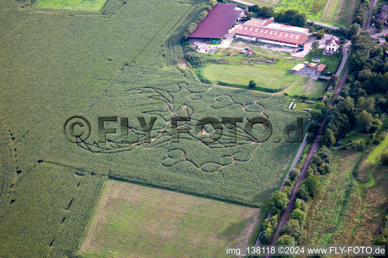 Corn Maze Raumbach in Meisenheim in the state Rhineland-Palatinate, Germany