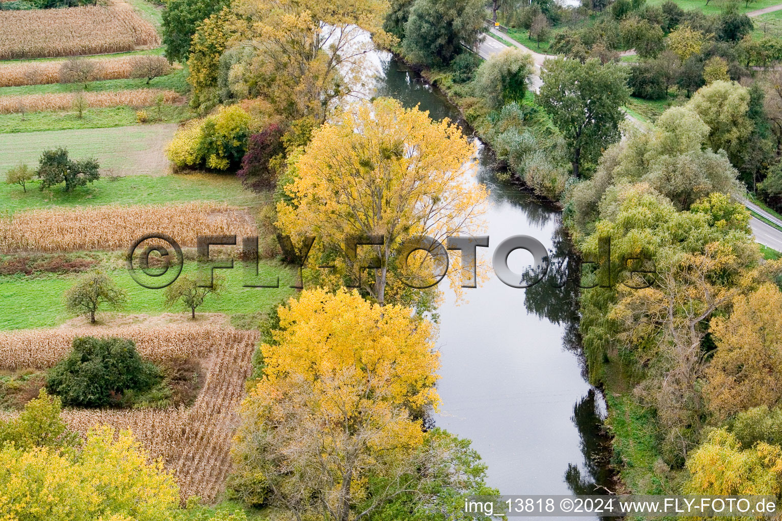 Drone image of District Neuburg in Neuburg am Rhein in the state Rhineland-Palatinate, Germany