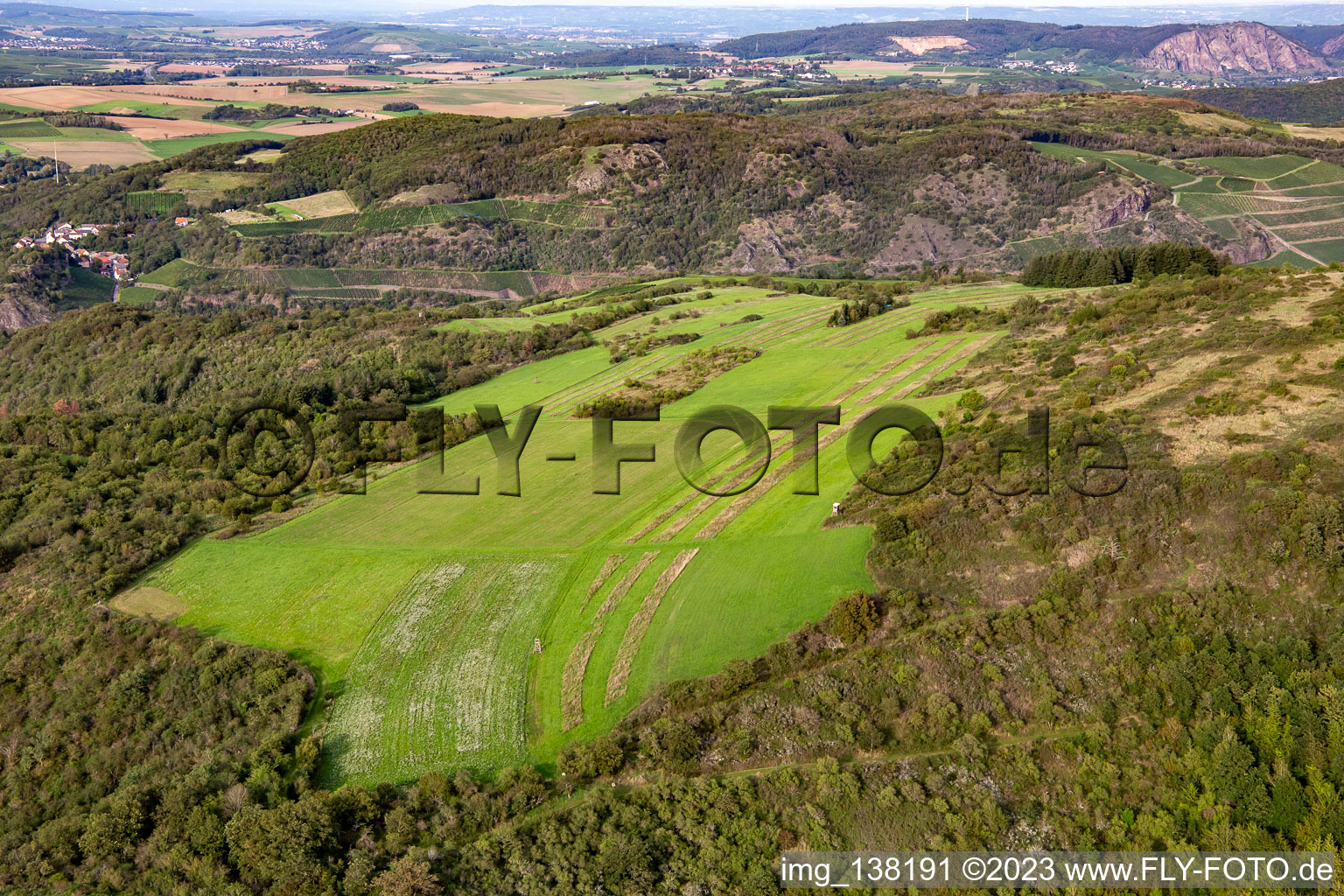 Biotopes on the Gangelsberg in Duchroth in the state Rhineland-Palatinate, Germany