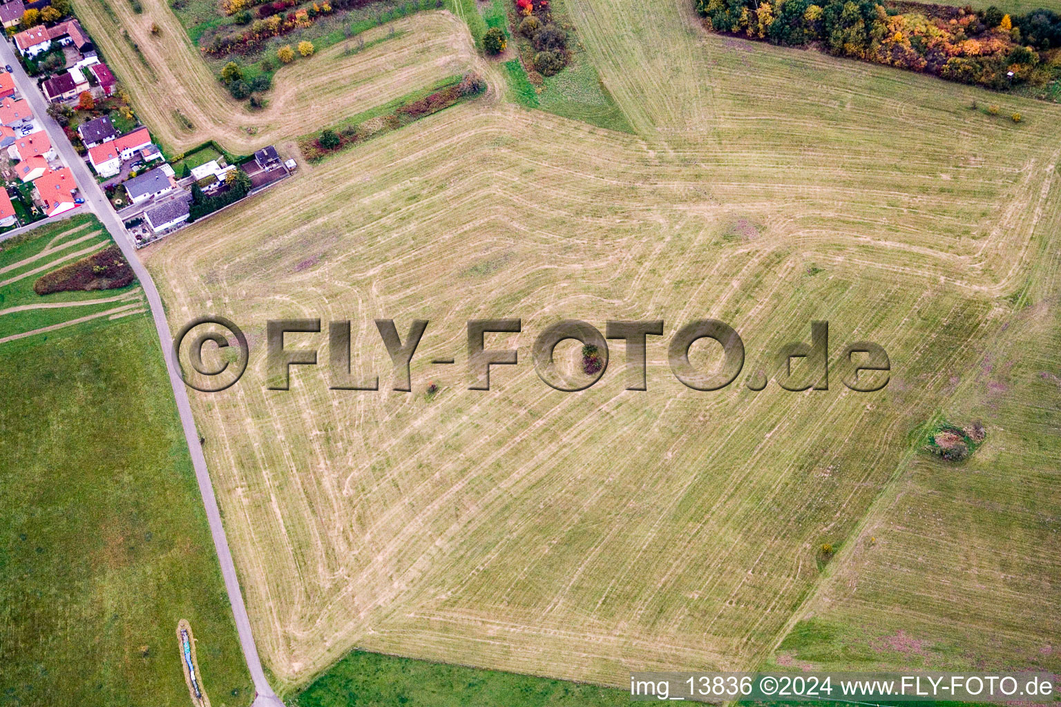 Agricultural field rows in the district Buechelberg in Woerth am Rhein in the state Rhineland-Palatinate