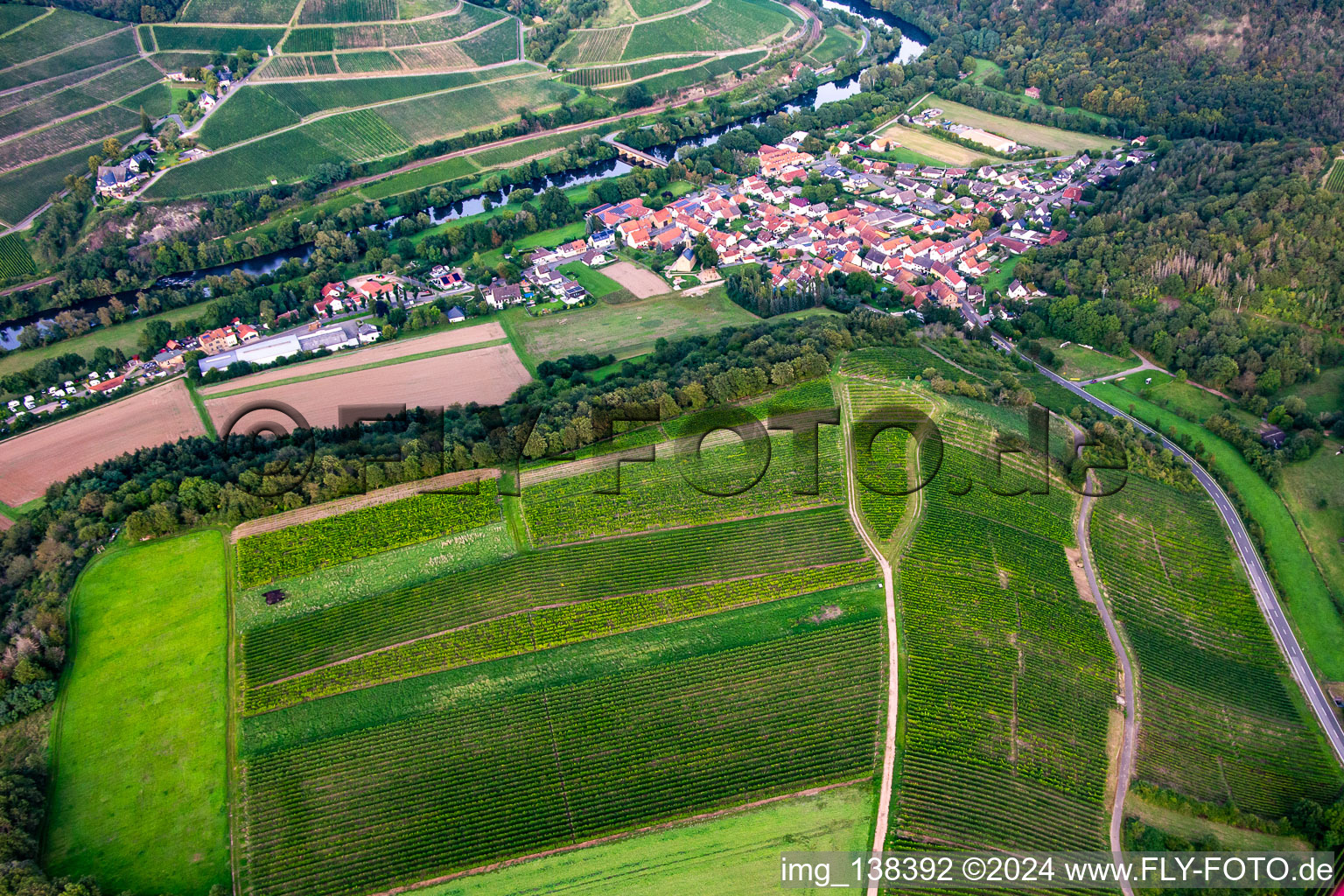 Vineyards on the Gangelsberg in the district Oberhausen in Oberhausen an der Nahe in the state Rhineland-Palatinate, Germany