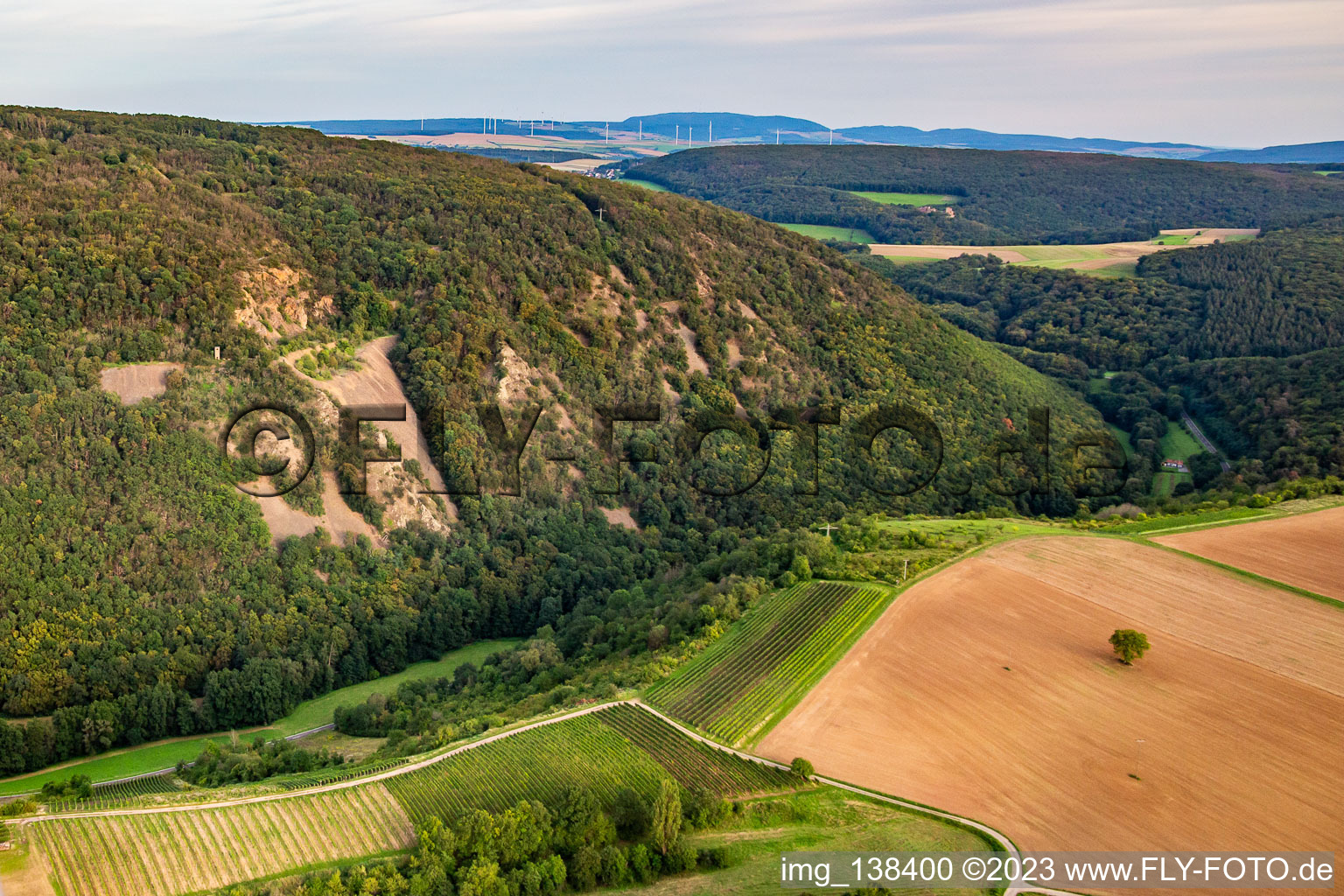 Rapunzel Tower “Sleeping Giant” on the Lemberg in the district Bingert in Feilbingert in the state Rhineland-Palatinate, Germany