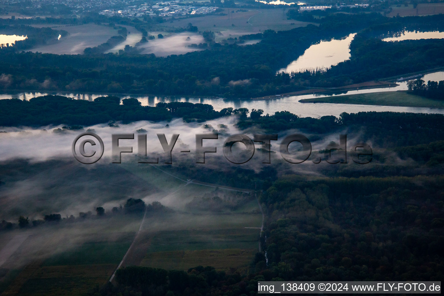 Altrhein Hömel in the morning mist before sunrise in the district Maximiliansau in Wörth am Rhein in the state Rhineland-Palatinate, Germany