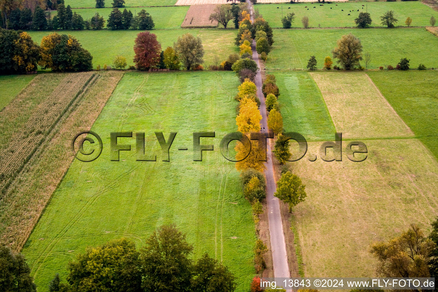 Aerial view of Otterbach Valley in Minfeld in the state Rhineland-Palatinate, Germany