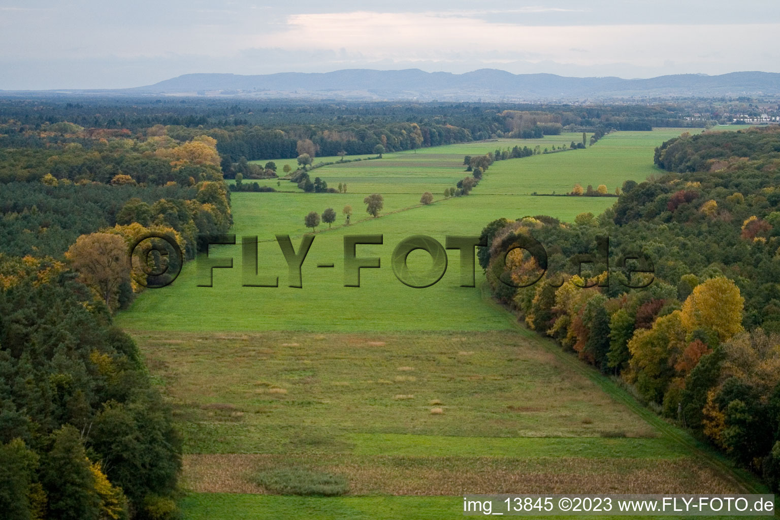 Oblique view of Otterbachtal in Minfeld in the state Rhineland-Palatinate, Germany