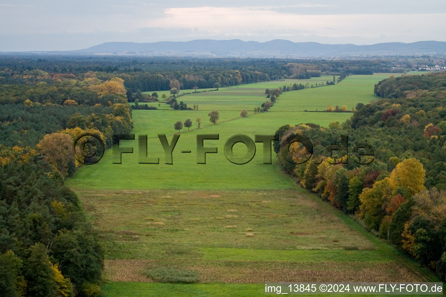 Oblique view of Otterbach Valley in Minfeld in the state Rhineland-Palatinate, Germany