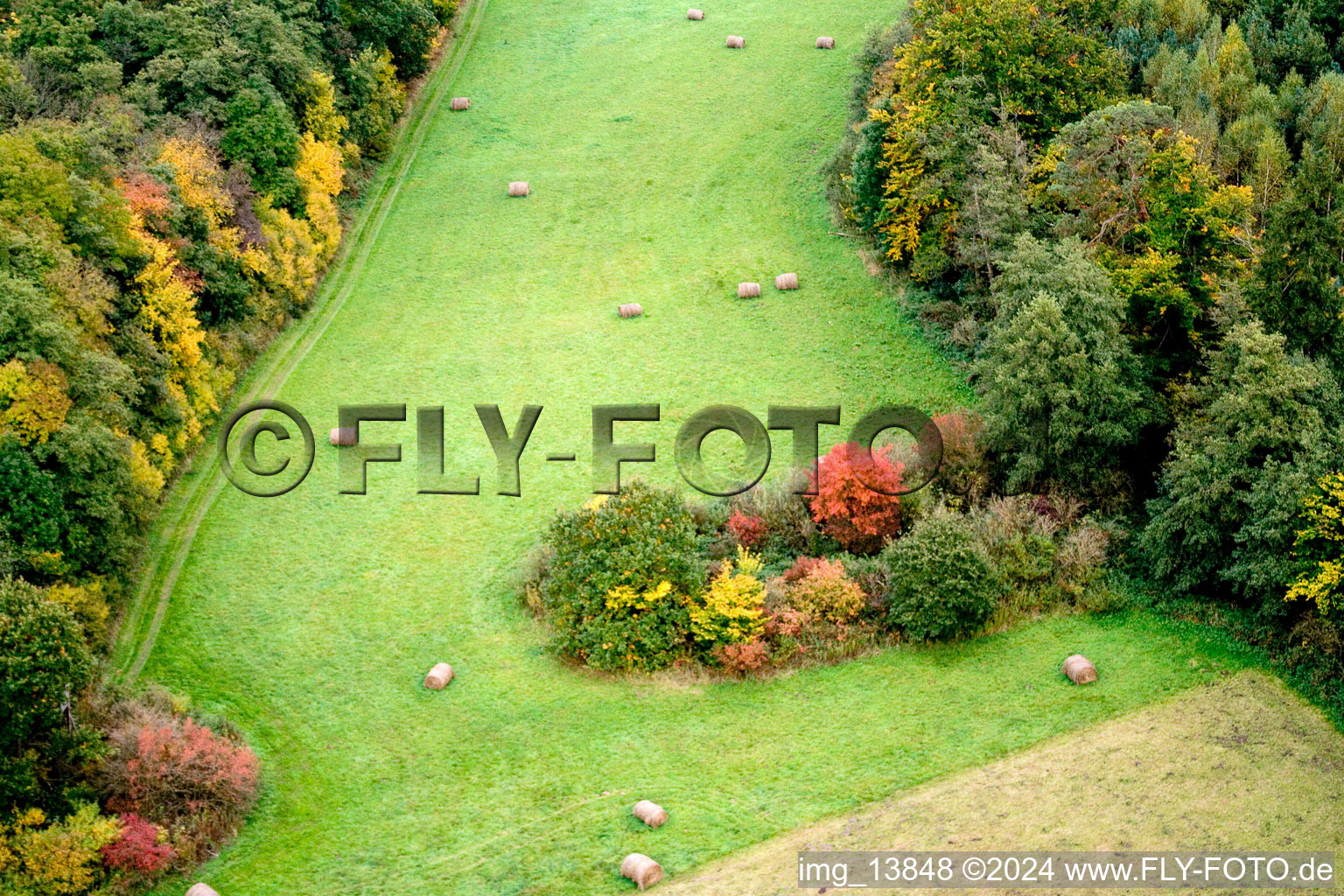 Grass bale landscape on a meadow in the autumn coloured forest in Minfeld in the state Rhineland-Palatinate