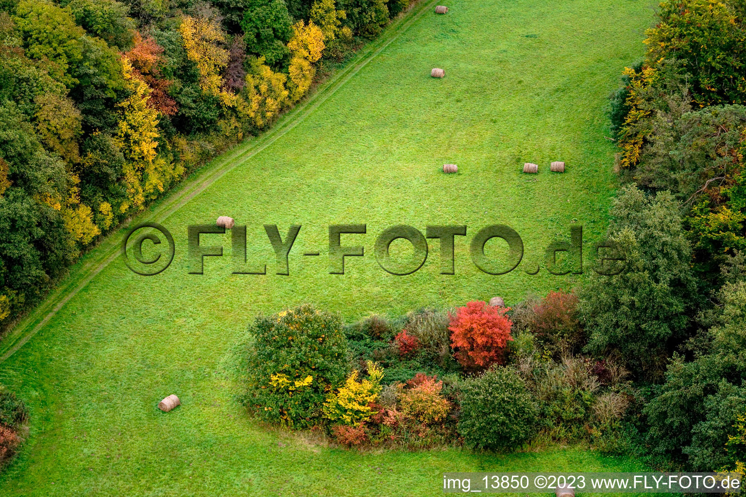 Otterbachtal in Minfeld in the state Rhineland-Palatinate, Germany seen from above