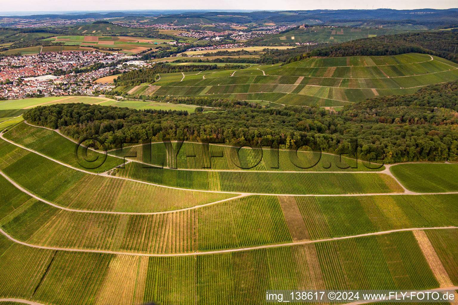 Oblique view of Grossbottwar vineyard in the district Kleinbottwar in Steinheim an der Murr in the state Baden-Wuerttemberg, Germany