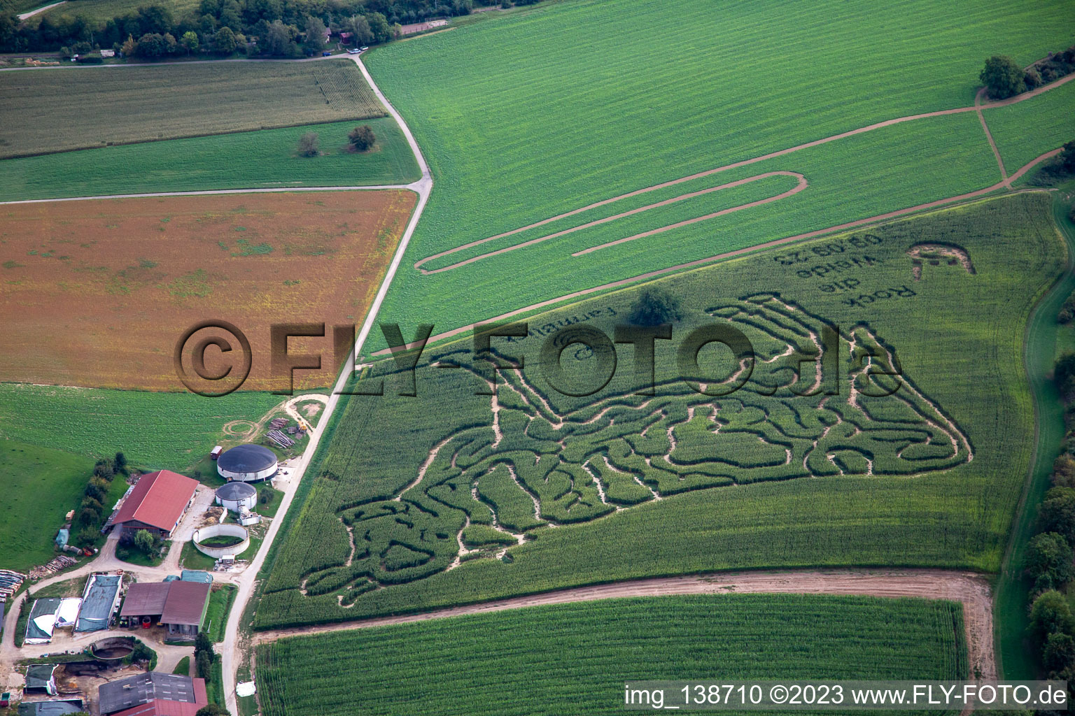 Corn labyrinth at the Lämmle-Hofmann dairy farm in the district Flehingen in Oberderdingen in the state Baden-Wuerttemberg, Germany