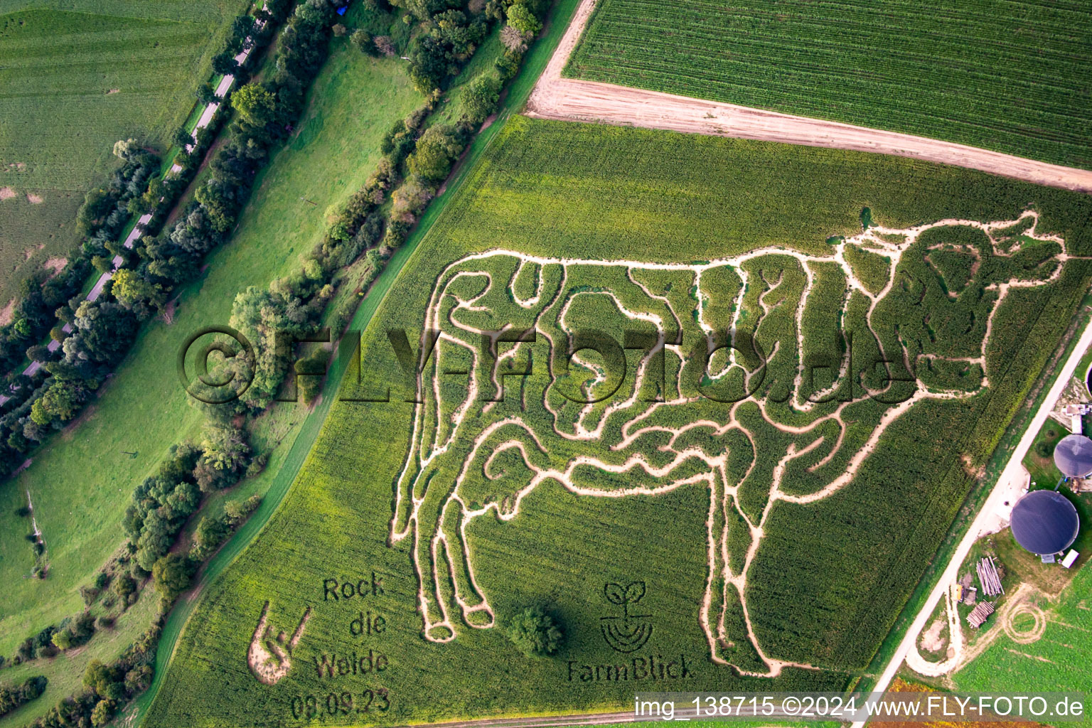 Aerial view of Corn labyrinth at the Lämmle-Hofmann dairy farm in the district Flehingen in Oberderdingen in the state Baden-Wuerttemberg, Germany