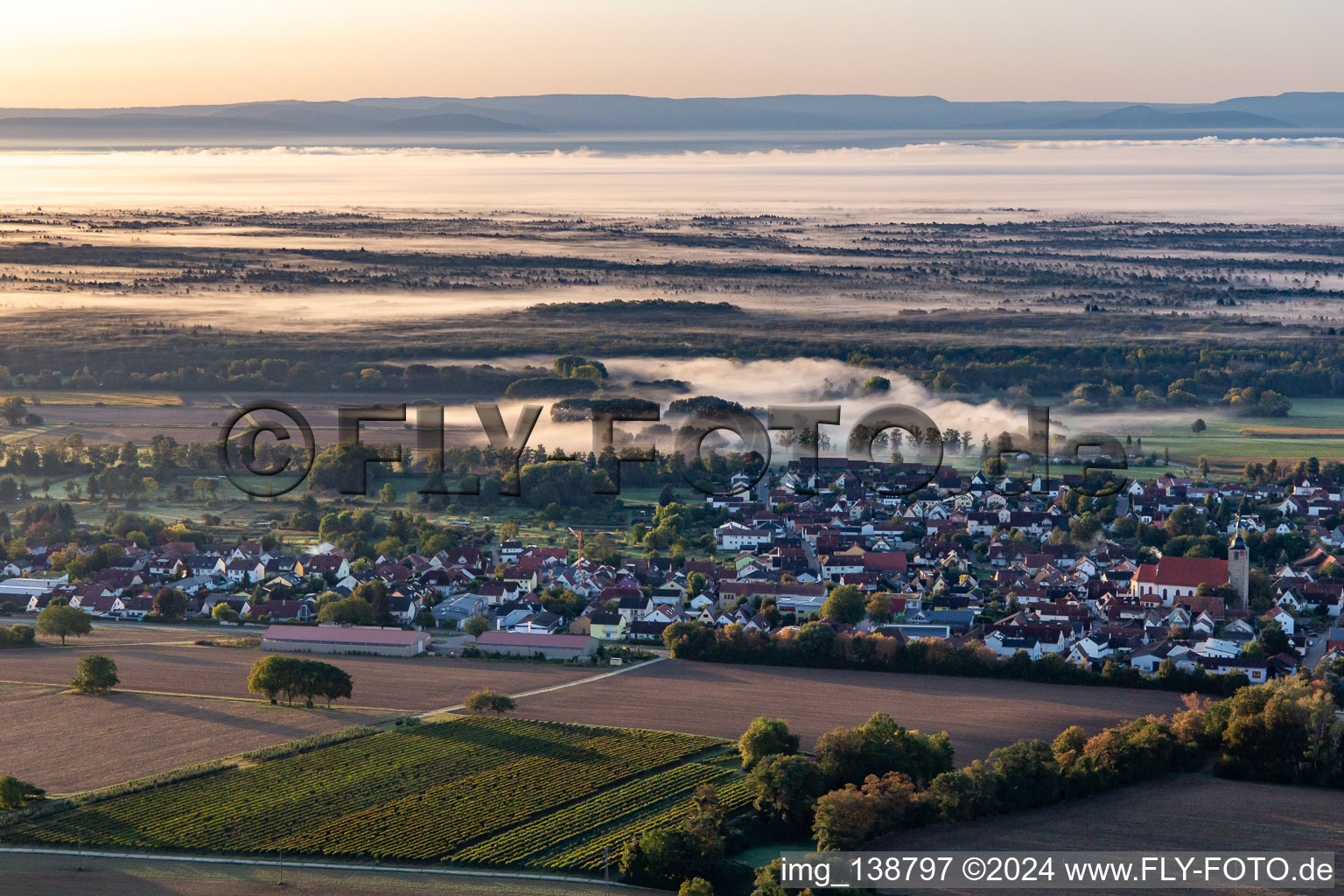 In front of the Bienwald in the morning mist in Steinfeld in the state Rhineland-Palatinate, Germany