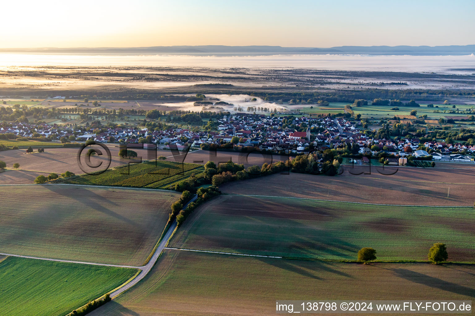 Aerial view of In front of the Bienwald in the morning mist in Steinfeld in the state Rhineland-Palatinate, Germany